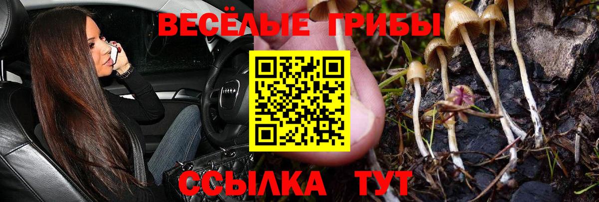Галлюциногенные грибы Psilocybine cubensis  Вход с VPN  Туймазы 